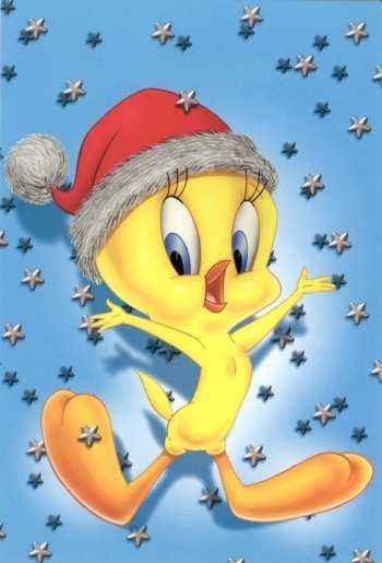 Christmas-X-mas Tweety with stars