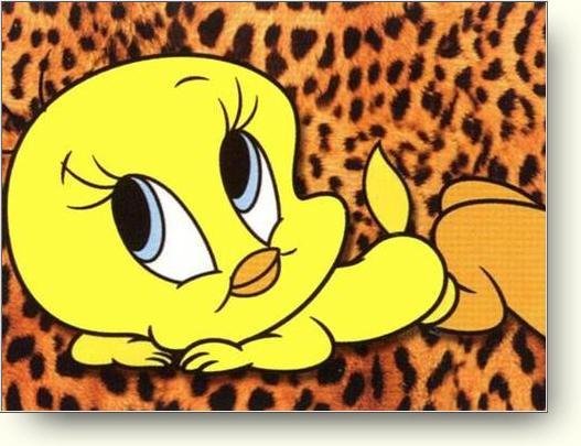 Daydreaming Tweety on a panther-skin-looking blanket