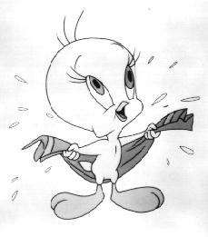Happy black and white Tweety with towel