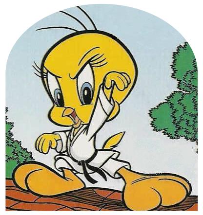 Karate Tweety