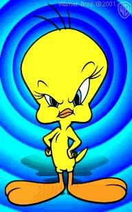 Mad looking Tweety on blue background