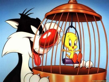 Picture with Tweety in the cage