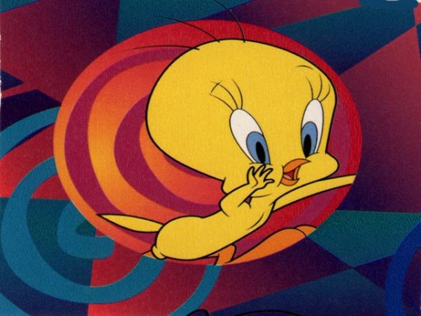 Running Tweety on a colorfull background