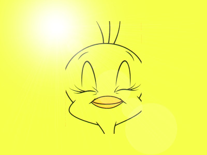 Satisfied Tweety on yellow background