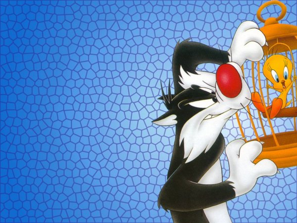 Sylvester at Tweety's cage