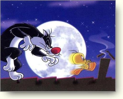 Sylvester chasing Tweety at night