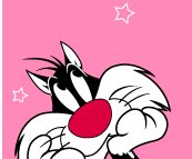 Sylvester in love