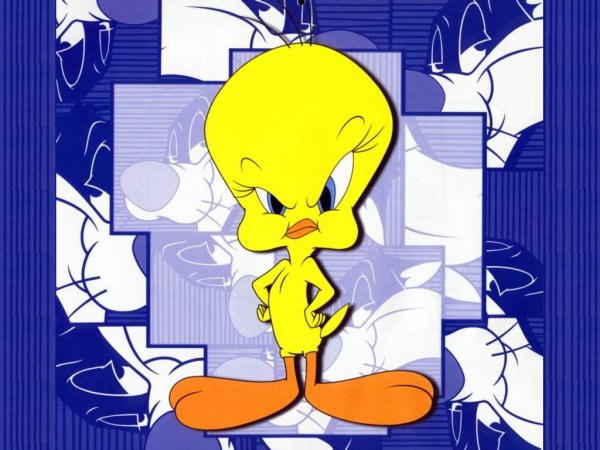Tweety angry on a purple and Sylvester background