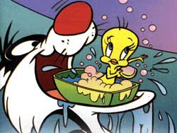 Tweety bathing in the bathtub in Sylvester's mouth