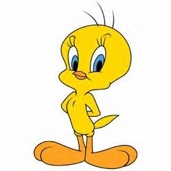 Tweety confident