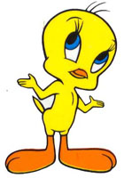 Tweety doesn’t know why