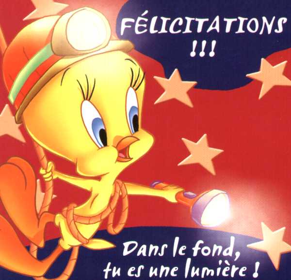 Tweety felicitations