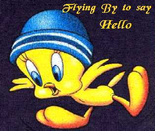 Tweety flies by to say hello