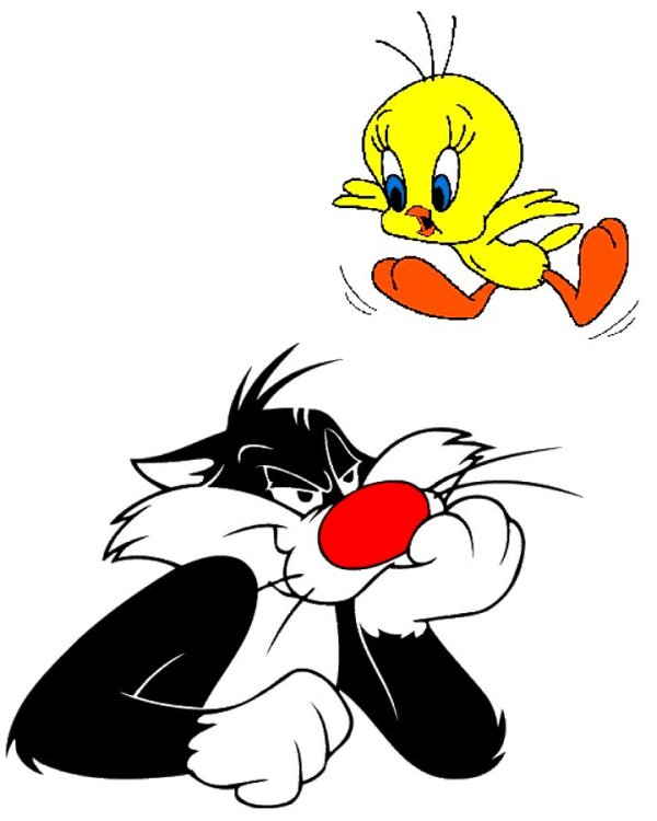 Tweety flying above Sylvester