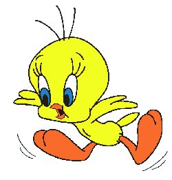 Tweety flying 