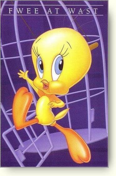 Tweety fwee at wast