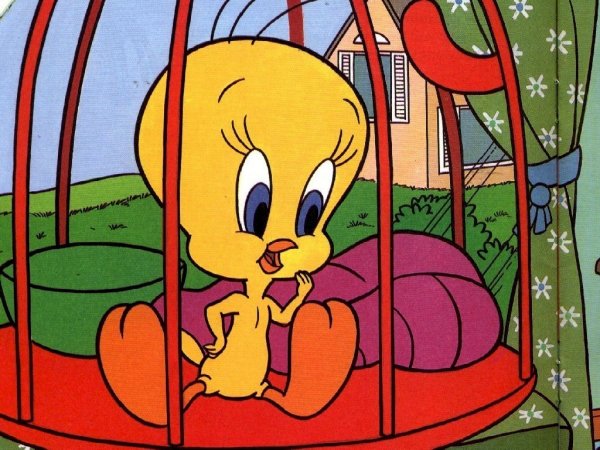 Tweety in red cage