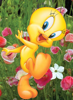 Tweety in the flowers