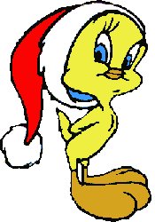 Tweety looking pleases with santa hat