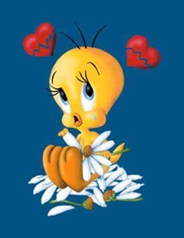 Tweety loves me loves me not