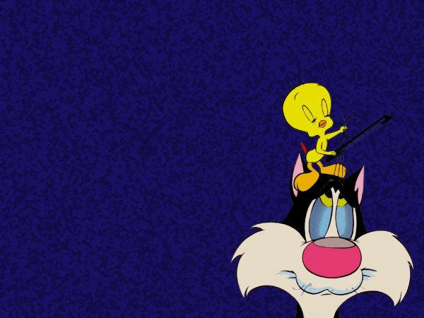 Tweety playing violin with hair on on Sylvester's head