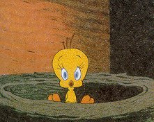 Tweety shocked by what he sees