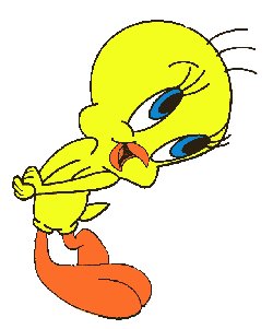 Tweety shy