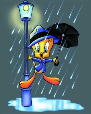 Tweety singing in the rain with umbrella