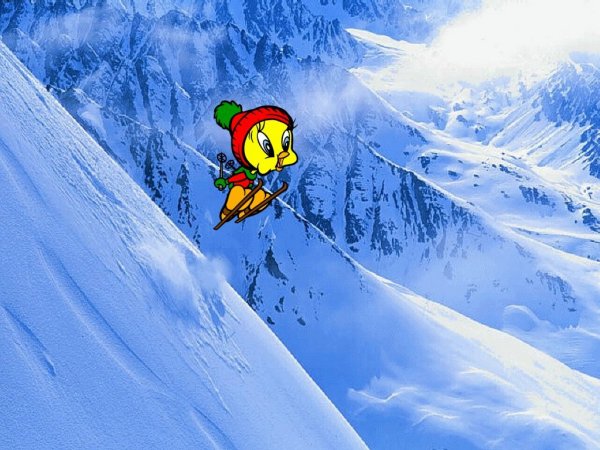 Tweety skiing