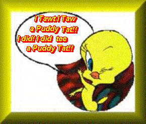 Tweety taw a puddy tat!