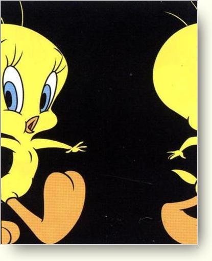 Tweety walks from right to left