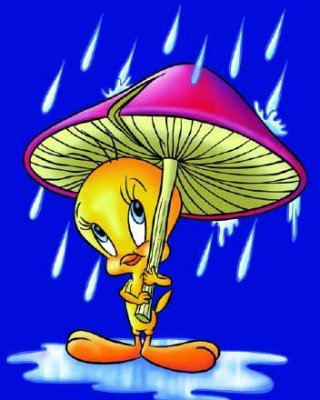 Tweety with a strange umbrella