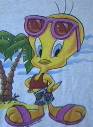 Tweety with big sunglasses on tropical island