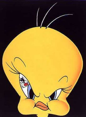 Tweety with eyebrow pulled up and Sylvester showing in his eye