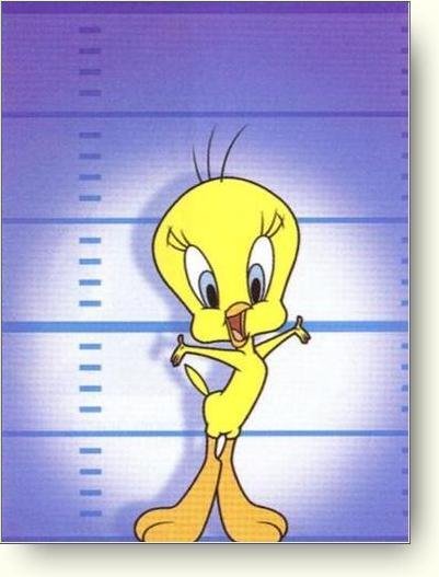 Tweety with measure chart