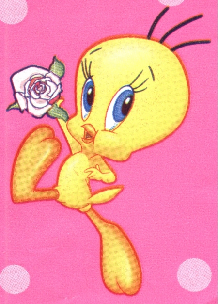 Tweety with one rose on a pink background