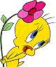 Tweety with pink daisy