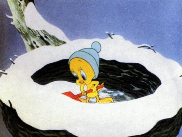 Tweety with snow in outside nest
