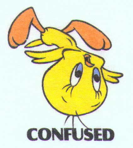 Tweety with text 'confused'