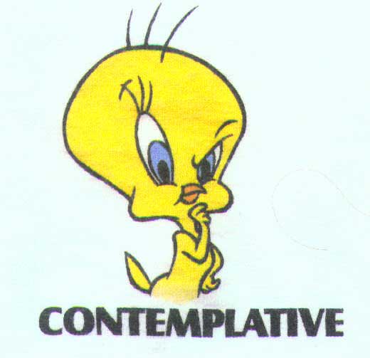 Tweety with text 'contemplative'