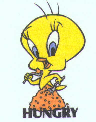 Tweety with text 'hungry'